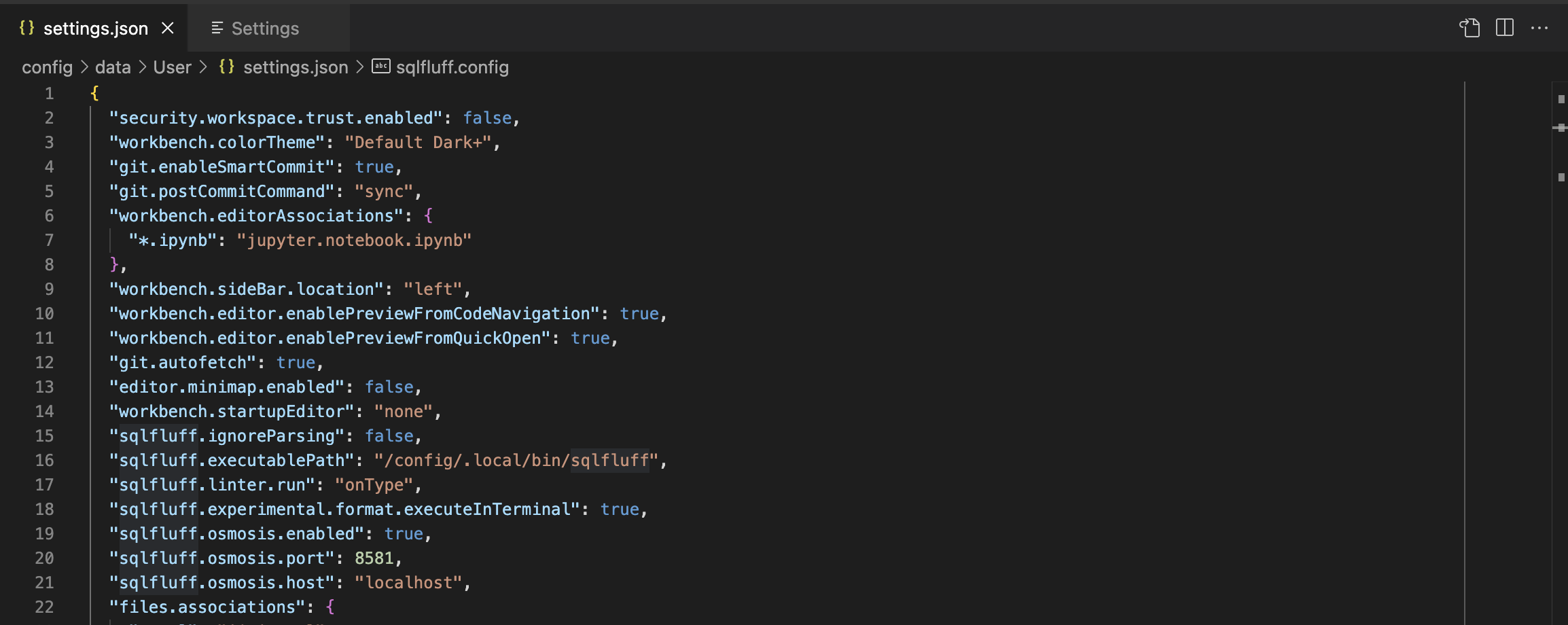 User Settings JSON